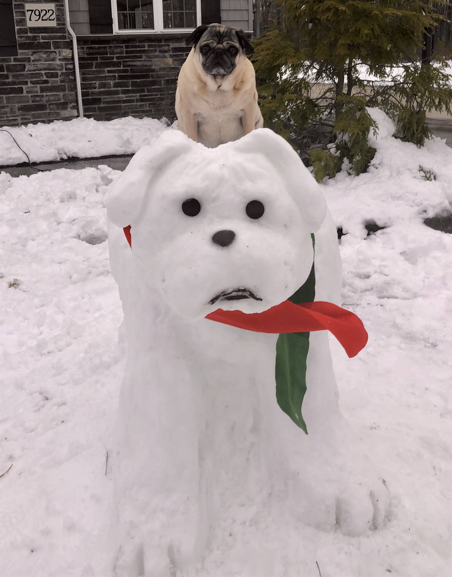 Snowman Building Contest Winner!